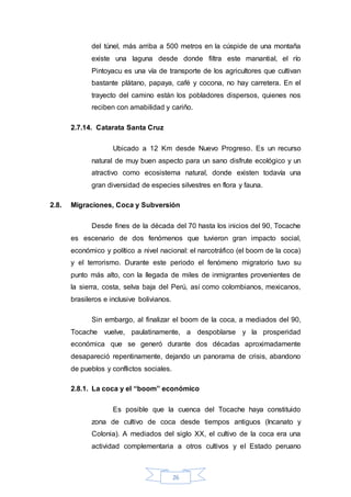 26
del túnel, más arriba a 500 metros en la cúspide de una montaña
existe una laguna desde donde filtra este manantial, el río
Pintoyacu es una vía de transporte de los agricultores que cultivan
bastante plátano, papaya, café y cocona, no hay carretera. En el
trayecto del camino están los pobladores dispersos, quienes nos
reciben con amabilidad y cariño.
2.7.14. Catarata Santa Cruz
Ubicado a 12 Km desde Nuevo Progreso. Es un recurso
natural de muy buen aspecto para un sano disfrute ecológico y un
atractivo como ecosistema natural, donde existen todavía una
gran diversidad de especies silvestres en flora y fauna.
2.8. Migraciones, Coca y Subversión
Desde fines de la década del 70 hasta los inicios del 90, Tocache
es escenario de dos fenómenos que tuvieron gran impacto social,
económico y político a nivel nacional: el narcotráfico (el boom de la coca)
y el terrorismo. Durante este periodo el fenómeno migratorio tuvo su
punto más alto, con la llegada de miles de inmigrantes provenientes de
la sierra, costa, selva baja del Perú, así como colombianos, mexicanos,
brasileros e inclusive bolivianos.
Sin embargo, al finalizar el boom de la coca, a mediados del 90,
Tocache vuelve, paulatinamente, a despoblarse y la prosperidad
económica que se generó durante dos décadas aproximadamente
desapareció repentinamente, dejando un panorama de crisis, abandono
de pueblos y conflictos sociales.
2.8.1. La coca y el “boom” económico
Es posible que la cuenca del Tocache haya constituido
zona de cultivo de coca desde tiempos antiguos (Incanato y
Colonia). A mediados del siglo XX, el cultivo de la coca era una
actividad complementaria a otros cultivos y el Estado peruano
 