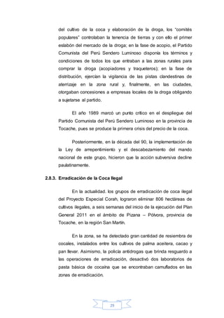 29
del cultivo de la coca y elaboración de la droga, los “comités
populares” controlaban la tenencia de tierras y con ello el primer
eslabón del mercado de la droga; en la fase de acopio, el Partido
Comunista del Perú Sendero Luminoso disponía los términos y
condiciones de todos los que entraban a las zonas rurales para
comprar la droga (acopiadores y traqueteros); en la fase de
distribución, ejercían la vigilancia de las pistas clandestinas de
aterrizaje en la zona rural y, finalmente, en las ciudades,
otorgaban concesiones a empresas locales de la droga obligando
a sujetarse al partido.
El año 1989 marcó un punto crítico en el despliegue del
Partido Comunista del Perú Sendero Luminoso en la provincia de
Tocache, pues se produce la primera crisis del precio de la coca.
Posteriormente, en la década del 90, la implementación de
la Ley de arrepentimiento y el descabezamiento del mando
nacional de este grupo, hicieron que la acción subversiva decline
paulatinamente.
2.8.3. Erradicación de la Coca Ilegal
En la actualidad. los grupos de erradicación de coca ilegal
del Proyecto Especial Corah, lograron eliminar 806 hectáreas de
cultivos ilegales, a seis semanas del inicio de la ejecución del Plan
General 2011 en el ámbito de Pizana – Pólvora, provincia de
Tocache, en la región San Martín.
En la zona, se ha detectado gran cantidad de resiembra de
cocales, instalados entre los cultivos de palma aceitera, cacao y
pan llevar. Asimismo, la policía antidrogas que brinda resguardo a
las operaciones de erradicación, desactivó dos laboratorios de
pasta básica de cocaína que se encontraban camuflados en las
zonas de erradicación.
 