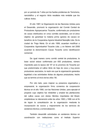 33
por un periodo de 7 años por los fuertes problemas de Terrorismo,
narcotráfico y el negocio ilícito resultaba más rentable que los
cultivos lícitos.
El año 1987, la Organización de las Naciones Unidas para
el Desarrollo, promovió la organización del Comité Central de
Productores Agropecuarios Tocache, conformada por productores
de cacao distribuidos en cinco comités sectoriales, con el único
objetivo de garantizar la materia prima (granos de cacao) en
beneficio de la Cooperativa Agraria Industrial Naranjillo Ltda. De la
ciudad de Tingo María. En el año 1999, acuerdan modificar a
Cooperativa Agroindustrial Tocache Ltda. y en febrero del 2008
acuerdan la denominación Cacao Tocache como identificación
comercial.
De igual manera como comité central de productores, la
base social estuvo conformada por 650 productores, número
importante para la época del ’87 en la provincia de Tocache por
que predominaba el cultivo ilícito de hoja de coca y muy pocos
productores asociados, la razón era que la organización generaba
legalidad a las actividades ilícitas de algunos productores, hecho
que se termino al inicio de los años ’90.
Por otro lado, para mejorar su presencia organizativa y
empresarial, la organización firmo convenios de cooperación
técnica en el año 1990, con las Naciones Unidas. para ejecutar el
proyecto cuyo objetivo fue rehabilitar y ampliar las plantaciones
del cultivo cacao con clones híbridos importados del Brasil,
ampliándose la intervención entre los años 1992 y 1996 con el fin
de lograr la consolidación de la organización mediante la
incorporación de socios y mejoramiento de los servicios de
asistencia técnica y comercialización.
También desarrolló actividades en asistencia técnica en
coordinación con instituciones como el Instituto Superior
 