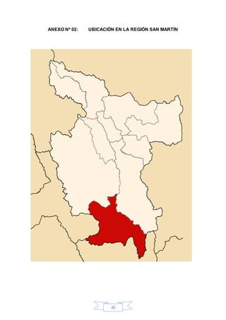 40
ANEXO Nº 02: UBICACIÓN EN LA REGIÓN SAN MARTÍN
 