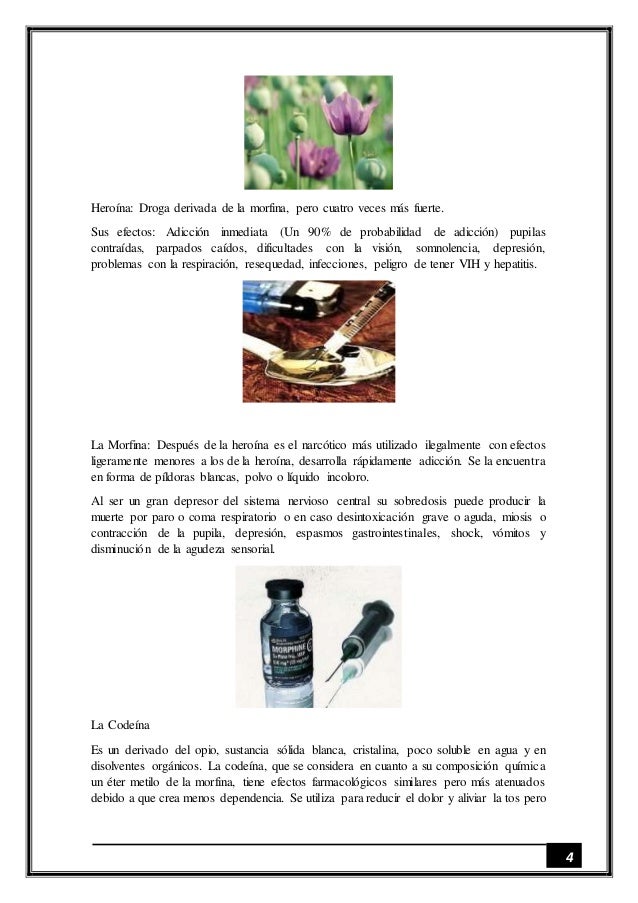 Monografia drogas