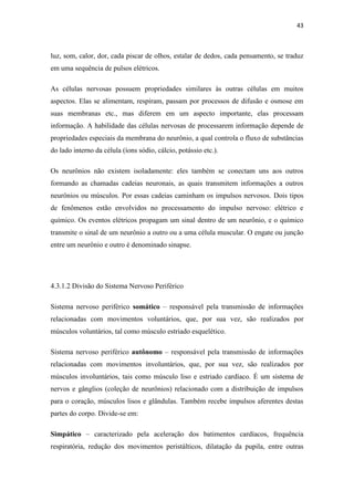 43
luz, som, calor, dor, cada piscar de olhos, estalar de dedos, cada pensamento, se traduz
em uma sequência de pulsos elétricos.
As células nervosas possuem propriedades similares às outras células em muitos
aspectos. Elas se alimentam, respiram, passam por processos de difusão e osmose em
suas membranas etc., mas diferem em um aspecto importante, elas processam
informação. A habilidade das células nervosas de processarem informação depende de
propriedades especiais da membrana do neurônio, a qual controla o fluxo de substâncias
do lado interno da célula (íons sódio, cálcio, potássio etc.).
Os neurônios não existem isoladamente: eles também se conectam uns aos outros
formando as chamadas cadeias neuronais, as quais transmitem informações a outros
neurônios ou músculos. Por essas cadeias caminham os impulsos nervosos. Dois tipos
de fenômenos estão envolvidos no processamento do impulso nervoso: elétrico e
químico. Os eventos elétricos propagam um sinal dentro de um neurônio, e o químico
transmite o sinal de um neurônio a outro ou a uma célula muscular. O engate ou junção
entre um neurônio e outro é denominado sinapse.
4.3.1.2 Divisão do Sistema Nervoso Periférico
Sistema nervoso periférico somático – responsável pela transmissão de informações
relacionadas com movimentos voluntários, que, por sua vez, são realizados por
músculos voluntários, tal como músculo estriado esquelético.
Sistema nervoso periférico autônomo – responsável pela transmissão de informações
relacionadas com movimentos involuntários, que, por sua vez, são realizados por
músculos involuntários, tais como músculo liso e estriado cardíaco. É um sistema de
nervos e gânglios (coleção de neurônios) relacionado com a distribuição de impulsos
para o coração, músculos lisos e glândulas. Também recebe impulsos aferentes destas
partes do corpo. Divide-se em:
Simpático – caracterizado pela aceleração dos batimentos cardíacos, frequência
respiratória, redução dos movimentos peristálticos, dilatação da pupila, entre outras
 