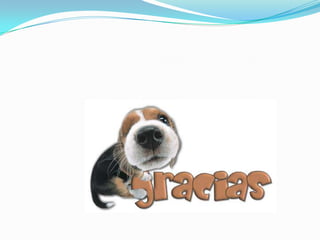 Monografia equipos portatiles