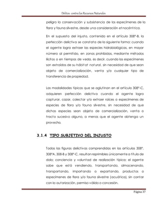 Delitos contra los Recursos Naturales 
peligro la conservación y subsistencia de los especímenes de la 
flora y fauna silvest re, desde una consideración et nocént rica. 
En el supuesto del injusto, contenido en el art ículo 308°-B, la 
perfección delict iva se constata de la siguiente forma: cuando 
el agente logra ext raer las especies hidrobiológicas, en mayor 
número al permit ido, en zonas prohibidas, mediante métodos 
ilícitos o en t iempos de veda, es decir, cuando los especímenes 
son ext raídos de su hábitat nat ural, sin necesidad de que sean 
objeto de comercialización, venta y/o cualquier t ipo de 
t ransferencia de propiedad. 
Las modalidades t ípicas que se aglut inan en el art ículo 308°-C, 
adquieren perfección delict iva cuando el agente logra 
capturar, cazar, colectar y/o ext raer raíces o especímenes de 
especies de flora y/o fauna silvest re, sin necesidad de que 
dichas especies sean objeto de comercialización, venta o 
t racto sucesivo alguno, a menos que el agente obtenga un 
provecho. 
Página 37 
3.1.4 TIPO SUBJETIVO DEL INJUSTO 
Todas las figuras delict ivas comprendidas en los art ículos 308°, 
308°A, 308-B y 308°-C, resultan reprimibles únicamente a t ítulo de 
dolo; conciencia y voluntad de realización t ípica; el agente 
sabe que está vendiendo, t ransportando, almacenando, 
t ransportando, importando o exportando, productos o 
especímenes de flora y/o fauna silvest re (acuát ica), sin contar 
con la autorización, permiso válido o concesión. 
 