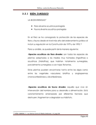 Delitos contra los Recursos Naturales 
Página 40 
3.2.1 BIEN JURIDICO 
LA BIODIVERSIDAD” 
 Flora silvest re acuát ica protegida 
 Fauna silvest re acuát ica protegida 
En el Perú se ha consagrado la protección de las especies de 
flora y fauna desde el nivel más alto del ordenamiento jurídico al 
incluir su regulación en la Const itución de 1979 y de 1993.15 
Para su análisis, se puede part ir de la manera siguiente: 
-Especies acuáticas de flora silvestre: son todas las especies de 
plantas adaptadas a los medios muy húmedos (higrofitas) o 
acuát icos (hidrofitas), que habitan totalmente sumergidas, 
parcialmente sumergidas o con hojas flotantes. 
Estas plantas pueden encont rarse tanto ent re las algas como 
ent re los vegetales vasculares: briofitos y angiospermas 
(monocot iledóneas y dicot iledóneas. 
-Especies acuáticas de fauna silvestre: aquella que vive sin 
intervención del hombre para su desarrollo o alimentación. Está 
constantemente amenazada por diferentes factores que 
dest ruyen, fragmentan o degradan sus hábitat s. 
15 PEÑA CABRERA, C.: Los Delitos Contra El Medio Ambiente, cit.,pag.194 
 