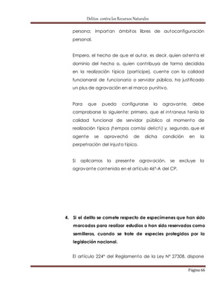 Delitos contra los Recursos Naturales 
persona; importan ámbitos libres de autoconfiguración 
personal. 
Empero, el hecho de que el autor, es decir, quien ostenta el 
dominio del hecho o, quien cont ribuya de forma decidida 
en la realización t ípica (part ícipe), cuente con la calidad 
funcionaral de funcionario o servidor público, ha just ificado 
un plus de agravación en el marco punit ivo. 
Para que pueda configurarse la agravante, debe 
comprobarse lo siguiente: primero, que el int raneus tenía la 
calidad funcional de servidor público al momento de 
realización t ípica (tempos comíssi delict i) y, segundo, que el 
agente se aprovechó de dicha condición en la 
perpet ración del injusto t ípico. 
Si aplicamos la presente agravación, se excluye la 
agravante contenida en el art ículo 46°-A del CP. 
4. Si el delito se comete respecto de especímenes que han sido 
marcados para realizar estudios o han sido reservados como 
semilleros, cuando se trate de especies protegidas por la 
legislación nacional. 
El art ículo 224° del Reglamento de la Ley N° 27308, dispone 
Página 66 
 