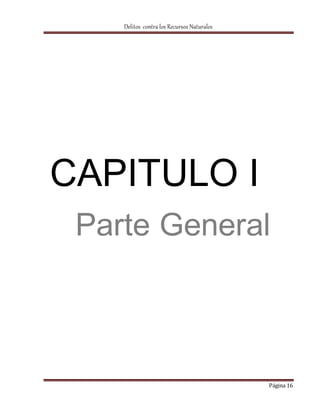 Delitos contra los Recursos Naturales 
CAPITULO I 
Parte General 
Página 16 
 