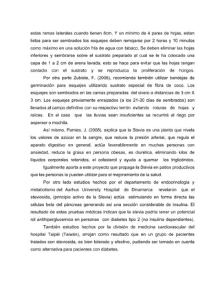 estas ramas laterales cuando tienen 8cm. Y un mínimo de 4 pares de hojas, estan
listos para ser sembrados los esquejes deben remojarse por 2 horas y 10 minutos
como máximo en una solución fría de agua con tabaco. Se deben eliminar las hojas
inferiores y sembrarse sobre el sustrato preparado al cual se le ha colocado una
capa de 1 a 2 cm de arena lavada, esto se hace para evitar que las hojas tengan
contacto con el sustrato y se reproduzca la proliferación de hongos.
Por otra parte Zubiete, F. (2006), recomienda también utilizar bandejas de
germinación para esquejes utilizando sustrato especial de fibra de coco. Los
esquejes son sembrados en las camas preparadas del vivero a distancias de 3 cm X
3 cm. Los esquejes previamente enraizados (a los 21-30 días de sembrados) son
llevados al campo definitivo con su respectivo terrón evitando roturas de hojas y
raíces. En el caso que las lluvias sean insuficientes se recurrirá al riego por
aspersor o mochila.
Así mismo, Pamies. J. (2008), explica que la Stevia es una planta que nivela
los valores de azúcar en la sangre, que reduce la presión arterial, que regula el
aparato digestivo en general, actúa favorablemente en muchas personas con
ansiedad, reduce la grasa en persona obesas, es diurética, eliminando kilos de
líquidos corporales retenidos, el colesterol y ayuda a quemar los triglicéridos.
Igualmente aporta a este proyecto que propaga la Stevia en patios productivos
que las personas la pueden utilizar para el mejoramiento de la salud.
Por otro lado estudios hechos por el departamento de endocrinología y
metabolismo del Aarhus University Hospital de Dinamarca revelaron que el
steviosida, (principio activo de la Stevia) actúa estimulando en forma directa las
células beta del páncreas generando así una sección considerable de insulina. El
resultado de estas pruebas médicas indican que la stevia podría tener un potencial
rol antihiperglucemico en personas con diabetes tipo 2 (no insulina dependientes).
También estudios hechos por la división de medicina cardiovascular del
hospital Taipéi (Taiwán), arrojan como resultado que en un grupo de pacientes
tratados con steviosida, es bien tolerado y efectivo, pudiendo ser tomado en cuenta
como alternativa para pacientes con diabetes.
 