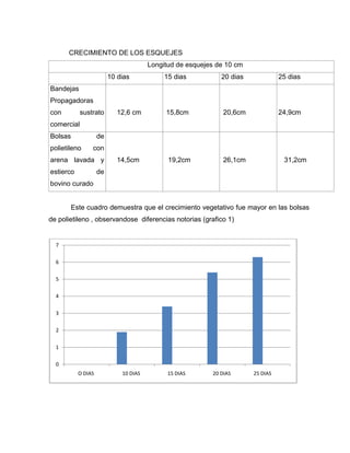 CRECIMIENTO DE LOS ESQUEJES
Longitud de esquejes de 10 cm
10 dias 15 dias 20 dias 25 dias
Bandejas
Propagadoras
con sustrato
comercial
12,6 cm 15,8cm 20,6cm 24,9cm
Bolsas de
polietileno con
arena lavada y
estierco de
bovino curado
14,5cm 19,2cm 26,1cm 31,2cm
Este cuadro demuestra que el crecimiento vegetativo fue mayor en las bolsas
de polietileno , observandose diferencias notorias (grafico 1)
0
1
2
3
4
5
6
7
O DIAS 10 DIAS 15 DIAS 20 DIAS 25 DIAS
 