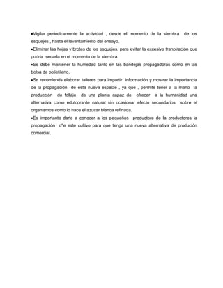 Vigilar periodicamente la actividad , desde el momento de la siembra de los
esquejes , hasta el levantamiento del ensayo.
Eliminar las hojas y brotes de los esquejes, para evitar la excesive tranpiración que
podria secarla en el momento de la siembra.
Se debe mantener la humedad tanto en las bandejas propagadoras como en las
bolsa de polietileno.
Se recomiends elaborar talleres para impartir información y mostrar la importancia
de la propagación de esta nueva especie , ya que , permite tener a la mano la
producción de follaje de una planta capaz de ofrecer a la humanidad una
alternativa como edulcorante natural sin ocasionar efecto secundarios sobre el
organismos como lo hace el azucar blanca refinada.
Es importante darle a conocer a los pequeños productore de la productores la
propagación dºe este cultivo para que tenga una nueva alternativa de produción
comercial.
 
