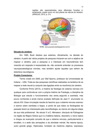 24
regiões são especializadas para diferentes funções é,
atualmente, aceita como um dos pilares da ciência do cérebro.
(ARAÚJO, 2012, p. 21)
fonte: www.grupopsicopedagogiando.com.br
Década do cérebro:
Em 1990, Bush declara que estamos, oficialmente, na década do
cérebro. A partir daí vários projetos de pesquisa iniciaram-se com o objetivo de
mapear o cérebro, pois a pesquisa e o interesse em neurociências tem
crescido em resposta à necessidade de, não somente entender os processos
neuropsicobiológicos normais, mas também ajudar àqueles que sofrem de
distúrbios neurológicos.
Projeto Conectoma:
Termo criado em 2005, por Olaf Sporns, professor da Universidade de
Indiana – USA. Trata-se das pesquisas científicas realizadas na tentativa de se
mapear a rede neural (o conjunto das ligações entre os neurônios) do cérebro.
Conforme Primo (2013), a história da fisiologia do sistema nervoso em
qualquer país confunde-se com a própria história da Fisiologia, a disciplina da
Biologia que estuda o funcionamento dos seres, segundo a acertada, mas
pouco conhecida e ainda menos acatada definição de Jean F. anunciada no
século XVI. Essa vinculação resulta do fascínio que o sistema nervoso exerceu
e exerce sobre cientistas e leigos, a ponto de que todos os fisiologistas do
passado terem se interessado pela neurofisiologia, ao menos em alguma etapa
de sua vida profissional. No século V a.C. Alkmaeon, discípulo de Pythagoras
na região da Magna Grécia que é a Calábria italiana, descobriu o nervo óptico
e chegou ao avançado conceito de que o sistema nervoso, particularmente o
encéfalo, é a sede das sensações e da atividade mental. Na mesma época,
outro grande grego, Hipócrates, fundador da medicina objetiva, expressou
 