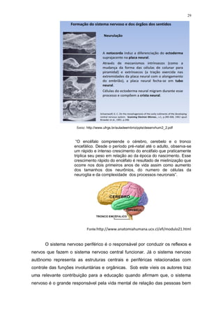29
fonte: http://www.ufrgs.br/auladeembrio/ppts/desenvhum2_2.pdf
“O encéfalo compreende o cérebro, cerebelo e o tronco
encefálico. Desde o período pré-natal até o adulto, observa-se
um rápido e intenso crescimento do encéfalo que praticamente
triplica seu peso em relação ao da época do nascimento. Esse
crescimento rápido do encéfalo é resultado de mielinização que
ocorre nos dois primeiros anos de vida assim como aumento
dos tamanhos dos neurônios, do numero de células da
neuroglia e da complexidade dos processos neuronais”.
Fonte:http://www.anatomiahumana.ucv.cl/efi/modulo21.html
O sistema nervoso periférico é o responsável por conduzir os reflexos e
nervos que fazem o sistema nervoso central funcionar. Já o sistema nervoso
autônomo representa as estruturas centrais e periféricas relacionadas com
controle das funções involuntárias e orgânicas. Sob este víeis os autores traz
uma relevante contribuição para a educação quando afirmam que, o sistema
nervoso é o grande responsável pela vida mental de relação das pessoas bem
 