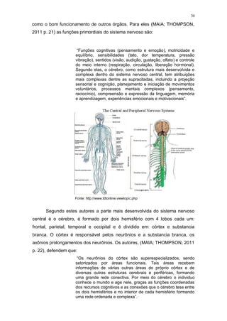 30
como o bom funcionamento de outros órgãos. Para eles (MAIA; THOMPSON,
2011 p. 21) as funções primordiais do sistema nervoso são:
“Funções cognitivas (pensamento e emoção), motricidade e
equilíbrio, sensibilidades (tato, dor temperatura, pressão
vibração), sentidos (visão, audição, gustação, olfato) e controle
do meio interno (respiração, circulação, liberação hormonal).
Segundo elas, o cérebro, como estrutura mais desenvolvida e
complexa dentro do sistema nervoso central, tem atribuições
mais complexas dentre as supracitadas, incluindo a projeção
sensorial e cognição, planejamento e iniciação de movimentos
voluntários, processos mentais complexos (pensamento,
raciocínio), compreensão e expressão da linguagem, memória
e aprendizagem, experiências emocionais e motivacionais”.
Fonte: http://www.tdtonline.viewtopic.php
Segundo estes autores a parte mais desenvolvida do sistema nervoso
central é o cérebro, é formado por dois hemisfério com 4 lobos cada um:
frontal, parietal, temporal e occipital e é dividido em: córtex e substancia
branca. O córtex é responsável pelos neurônios e a substancia branca, os
axônios prolongamentos dos neurônios. Os autores, (MAIA; THOMPSON, 2011
p. 22), defendem que:
“Os neurônios do córtex são superespecializados, sendo
setorizados por áreas funcionais. Tais áreas recebem
informações de várias outras áreas do próprio córtex e de
diversas outras estruturas cerebrais e periféricas, formando
uma grande rede conectiva. Por meio do cérebro o individuo
conhece o mundo e age nele, graças as funções coordenadas
dos recursos cognitivos e as conexões que o cérebro tese entre
os dois hemisférios e no interior de cada hemisfério formando
uma rede ordenada e complexa”.
 