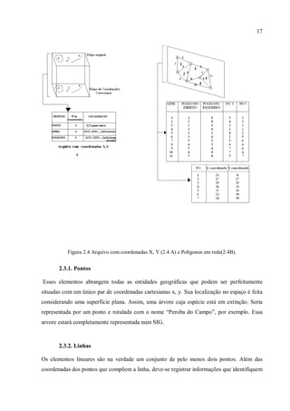 17
Figura 2.4 Arquivo com coordenadas X, Y (2.4 A) e Polígonos em rede(2.4B).
2.3.1. Pontos
Esses elementos abrangem todas as entidades geográficas que podem ser perfeitamente
situadas com um único par de coordenadas cartesianas x, y. Sua localização no espaço é feita
considerando uma superfície plana. Assim, uma árvore cuja espécie está em extinção. Seria
representada por um ponto e rotulada com o nome “Peroba do Campo”, por exemplo. Essa
arvore estará completamente representada num SIG.
2.3.2. Linhas
Os elementos lineares são na verdade um conjunto de pelo menos dois pontos. Além das
coordenadas dos pontos que compõem a linha, deve-se registrar informações que identifiquem
 