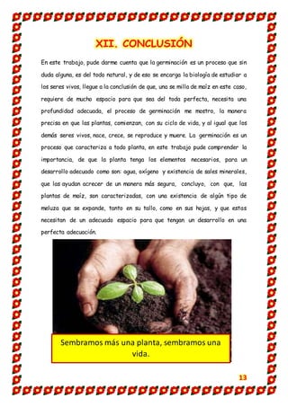 13
XII. CONCLUSIÓN
En este trabajo, pude darme cuenta que la germinación es un proceso que sin
duda alguna, es del todo natural, y de eso se encarga la biología de estudiar a
los seres vivos, llegue a la conclusión de que, una se milla de maíz en este caso,
requiere de mucho espacio para que sea del toda perfecta, necesita una
profundidad adecuada, el proceso de germinación me mostro, la manera
precisa en que las plantas, comienzan, con su ciclo de vida, y al igual que los
demás seres vivos, nace, crece, se reproduce y muere. La germinación es un
proceso que caracteriza a todo planta, en este trabajo pude comprender la
importancia, de que la planta tenga los elementos necesarios, para un
desarrollo adecuado como son: agua, oxígeno y existencia de sales minerales,
que las ayudan acrecer de un manera más segura, concluyo, con que, las
plantas de maíz, son caracterizadas, con una existencia de algún tipo de
meluza que se expande, tanto en su tallo, como en sus hojas, y que estas
necesitan de un adecuado espacio para que tengan un desarrollo en una
perfecta adecuación.
Sembramos más una planta, sembramos una
vida.
 