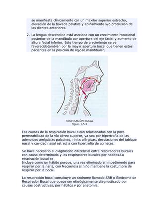 se manifiesta clínicamente con un maxilar superior estrecho,
elevación de la bóveda palatina y apiñamiento y/o protrusión de
los dientes anteriores.
2. La lengua descendida está asociada con un crecimiento rotacional
posterior de la mandíbula con apertura del eje facial y aumento de
altura facial inferior. Este tiempo de crecimiento se ve
favorecidotambién por la mayor apertura bucal que tienen estos
pacientes en la posición de reposo mandibular.
RESPIRACIÓN BUCAL
Figura 1.5.2
Las causas de la respiración bucal están relacionadas con la poca
permeabilidad de la vía aérea superior, ya sea por hipertrofia de las
adenoides amígdalas palatinas, rinitis alérgicas, desviaciones del tabique
nasal y cavidad nasal estrecha con hipertrofia de cornetes.
Se hace necesario el diagnostico diferencial entre respiradores bucales
con causa determinada y los respiradores bucales por habitos.La
respiración bucal se
Incluye como un hábito porque, una vez eliminado el impedimento para
respirar por la nariz, con frecuencia el niño mantiene la costumbre de
respirar por la boca.
La respiración bucal constituye un síndrome llamado SRB o Síndrome de
Respirador Bucal que puede ser etiológicamente diagnosticado por
causas obstructivas, por hábitos y por anatomía.
 