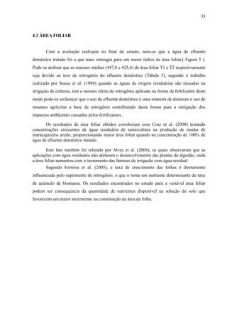 33



4.3 ÁREA FOLIAR


       Com a avaliação realizada no final do estudo, nota-se que a água de efluente
doméstico tratado foi a que mais interagiu para um maior índice de área foliar,( Figura 5 ).
Pode-se atribuir que as maiores médias (447,8 e 425,6) de área foliar T1 e T2 respectivamente
seja devido ao teor de nitrogênio do efluente doméstico (Tabela 5), segundo o trabalho
realizado por Sousa et al. (1998) quando as águas de origem residuárias são reusadas na
irrigação de culturas, tem o mesmo efeito do nitrogênio aplicado na forma de fertilizante deste
modo pode-se esclarecer que o uso de efluente doméstico é uma maneira de diminuir o uso de
insumos agrícolas a base de nitrogênio contribuindo desta forma para a mitigação dos
impactos ambientais causadas pelos fertilizantes..

       Os resultados de área foliar obtidos corroboram com Cruz et al. (2008) testando
concentrações crescentes de água residuária de suinocultura na produção de mudas de
maracujazeiro azedo, proporcionando maior área foliar quando na concentração de 100% de
água de efluente doméstico tratado.

        Este fato também foi relatado por Alves et al. (2009), os quais observaram que as
aplicações com água residuária não afetaram o desenvolvimento das plantas de algodão, onde
a área foliar aumentou com o incremento das lâminas de irrigação com água residual.
        Segundo Ferreira et al. (2005), a taxa de crescimento das folhas é diretamente
influenciada pelo suprimento de nitrogênio, o que o torna um nutriente determinante da taxa
de acúmulo de biomassa. Os resultados encontrados no estudo para a variável área foliar
podem ser consequencia da quantidade de nutrientes disponível na solução do solo que
favorecem um maior incremento na constituição da área da folha.
 