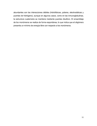 abundantes son las interacciones débiles (hidrofóbicas, polares, electrostáticas y 
puentes de hidrógeno), aunque en algunos casos, como en las inmunoglobulinas, 
la estructura cuaternaria se mantiene mediante puentes disulfuro. El ensamblaje 
de los monómeros se realiza de forma espontánea, lo que indica que el oligómero 
presenta un mínimo de energía libre con respecto a los monómeros. 
11 
 