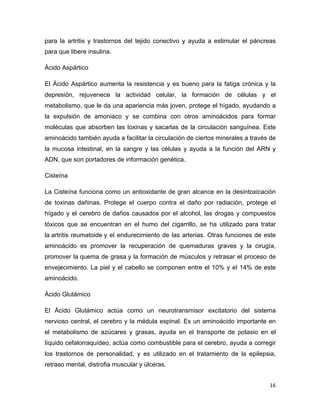 para la artritis y trastornos del tejido conectivo y ayuda a estimular el páncreas 
para que libere insulina. 
Ácido Aspártico 
El Ácido Aspártico aumenta la resistencia y es bueno para la fatiga crónica y la 
depresión, rejuvenece la actividad celular, la formación de células y el 
metabolismo, que le da una apariencia más joven, protege el hígado, ayudando a 
la expulsión de amoniaco y se combina con otros aminoácidos para formar 
moléculas que absorben las toxinas y sacarlas de la circulación sanguínea. Este 
aminoácido también ayuda a facilitar la circulación de ciertos minerales a través de 
la mucosa intestinal, en la sangre y las células y ayuda a la función del ARN y 
ADN, que son portadores de información genética. 
Cisteína 
La Cisteína funciona como un antioxidante de gran alcance en la desintoxicación 
de toxinas dañinas. Protege el cuerpo contra el daño por radiación, protege el 
hígado y el cerebro de daños causados por el alcohol, las drogas y compuestos 
tóxicos que se encuentran en el humo del cigarrillo, se ha utilizado para tratar 
la artritis reumatoide y el endurecimiento de las arterias. Otras funciones de este 
aminoácido es promover la recuperación de quemaduras graves y la cirugía, 
promover la quema de grasa y la formación de músculos y retrasar el proceso de 
envejecimiento. La piel y el cabello se componen entre el 10% y el 14% de este 
aminoácido. 
Ácido Glutámico 
El Ácido Glutámico actúa como un neurotransmisor excitatorio del sistema 
nervioso central, el cerebro y la médula espinal. Es un aminoácido importante en 
el metabolismo de azúcares y grasas, ayuda en el transporte de potasio en el 
líquido cefalorraquídeo, actúa como combustible para el cerebro, ayuda a corregir 
los trastornos de personalidad, y es utilizado en el tratamiento de la epilepsia, 
retraso mental, distrofia muscular y úlceras. 
16 
 