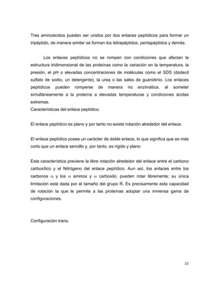 Tres aminoácidos pueden ser unidos por dos enlaces peptídicos para formar un 
tripéptido, de manera similar se forman los tetrapéptidos, pentapéptidos y demás. 
Los enlaces peptídicos no se rompen con condiciones que afectan la 
estructura tridimensional de las proteínas como la variación en la temperatura, la 
presión, el pH o elevadas concentraciones de moléculas como el SDS (dodecil 
sulfato de sodio, un detergente), la urea o las sales de guanidinio. Los enlaces 
peptídicos pueden romperse de manera no enzimática, al someter 
simultáneamente a la proteína a elevadas temperaturas y condiciones ácidas 
extremas. 
Características del enlace peptídico. 
21 
El enlace peptídico es plano y por tanto no existe rotación alrededor del enlace. 
El enlace peptídico posee un carácter de doble enlace, lo que significa que es más 
corto que un enlace sencillo y, por tanto, es rígido y plano 
Esta característica previene la libre rotación alrededor del enlace entre el carbono 
carboxílico y el Nitrógeno del enlace peptídico. Aun así, los enlaces entre los 
carbonos α y los α aminos y α carboxilo, pueden rotar libremente; su única 
limitación está dada por el tamaño del grupo R. Es precisamente esta capacidad 
de rotación la que le permite a las proteínas adoptar una inmensa gama de 
configuraciones. 
Configuración trans. 
 