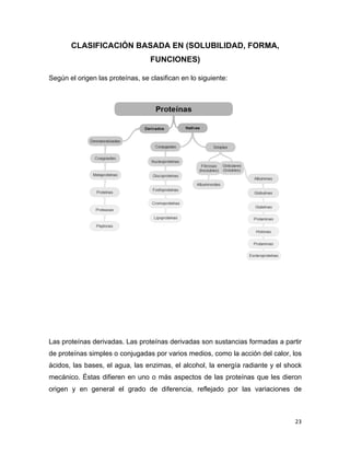 23 
CLASIFICACIÓN BASADA EN (SOLUBILIDAD, FORMA, 
FUNCIONES) 
Según el origen las proteínas, se clasifican en lo siguiente: 
Las proteínas derivadas. Las proteínas derivadas son sustancias formadas a partir 
de proteínas simples o conjugadas por varios medios, como la acción del calor, los 
ácidos, las bases, el agua, las enzimas, el alcohol, la energía radiante y el shock 
mecánico. Éstas difieren en uno o más aspectos de las proteínas que les dieron 
origen y en general el grado de diferencia, reflejado por las variaciones de 
 