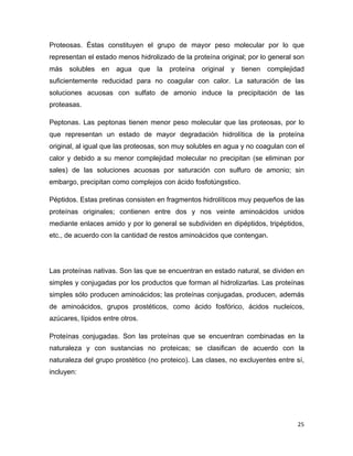 Proteosas. Éstas constituyen el grupo de mayor peso molecular por lo que 
representan el estado menos hidrolizado de la proteína original; por lo general son 
más solubles en agua que la proteína original y tienen complejidad 
suficientemente reducidad para no coagular con calor. La saturación de las 
soluciones acuosas con sulfato de amonio induce la precipitación de las 
proteasas. 
Peptonas. Las peptonas tienen menor peso molecular que las proteosas, por lo 
que representan un estado de mayor degradación hidrolítica de la proteína 
original, al igual que las proteosas, son muy solubles en agua y no coagulan con el 
calor y debido a su menor complejidad molecular no precipitan (se eliminan por 
sales) de las soluciones acuosas por saturación con sulfuro de amonio; sin 
embargo, precipitan como complejos con ácido fosfotúngstico. 
Péptidos. Estas pretinas consisten en fragmentos hidrolíticos muy pequeños de las 
proteínas originales; contienen entre dos y nos veinte aminoácidos unidos 
mediante enlaces amido y por lo general se subdividen en dipéptidos, tripéptidos, 
etc., de acuerdo con la cantidad de restos aminoácidos que contengan. 
Las proteínas nativas. Son las que se encuentran en estado natural, se dividen en 
simples y conjugadas por los productos que forman al hidrolizarlas. Las proteínas 
simples sólo producen aminoácidos; las proteínas conjugadas, producen, además 
de aminoácidos, grupos prostéticos, como ácido fosfórico, ácidos nucleicos, 
azúcares, lípidos entre otros. 
Proteínas conjugadas. Son las proteínas que se encuentran combinadas en la 
naturaleza y con sustancias no proteicas; se clasifican de acuerdo con la 
naturaleza del grupo prostético (no proteico). Las clases, no excluyentes entre sí, 
incluyen: 
25 
 