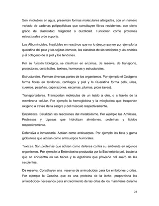 Son insolubles en agua, presentan formas moleculares alargadas, con un número 
variado de cadenas polipeptídicas que constituyen fibras resistentes, con cierto 
grado de elasticidad, fragilidad o ductilidad. Funcionan como proteínas 
estructurales o de soporte. 
Las Albuminoides. Insolubles en reactivos que no lo descomponen por ejemplo la 
queratina del pelo y los tejidos córneos, las elastinas de los tendones y las arterias 
y el colágeno de la piel y los tendones. 
Por su función biológica, se clasifican en enzimas, de reserva, de transporte, 
protectoras, contráctiles, toxinas, hormonas y estructurales. 
Estructurales. Forman diversas partes de los organismos. Por ejemplo el Colágeno 
forma fibras en tendones, cartílagos y piel y la Queratina forma pelo, uñas, 
cuernos, pezuñas, caparazones, escamas, plumas, picos (aves). 
Transportadoras. Transportan moléculas de un tejido a otro, o a través de la 
membrana celular. Por ejemplo la hemoglobina y la mioglobina que trasportan 
oxígeno a través de la sangre y del músculo respectivamente. 
Enzimática. Catalizan las reacciones del metabolismo. Por ejemplo las Amilasas, 
Proteasas y Lipasas que hidrolizan almidones, proteínas y lípidos 
respectivamente. 
Defensiva e inmunitaria. Actúan como anticuerpos. Por ejemplo las beta y gama 
globulinas que actúan como anticuerpos humorales. 
Toxicas. Son proteínas que actúan como defensa contra su ambiente en algunos 
organismos. Por ejemplo la Enterotoxina producida por la Escherichia coli, bacteria 
que se encuentra en las heces y la Aglutinina que proviene del suero de las 
serpientes. 
De reserva. Constituyen una reserva de aminoácidos para los embriones o crías. 
Por ejemplo la Caseína que es una proteína de la leche, proporciona los 
aminoácidos necesarios para el crecimiento de las crías de los mamíferos durante 
28 
 