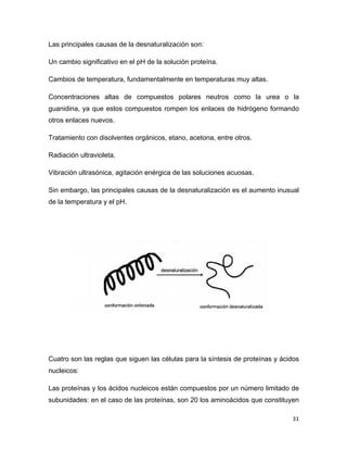 Las principales causas de la desnaturalización son: 
Un cambio significativo en el pH de la solución proteína. 
Cambios de temperatura, fundamentalmente en temperaturas muy altas. 
Concentraciones altas de compuestos polares neutros como la urea o la 
guanidina, ya que estos compuestos rompen los enlaces de hidrógeno formando 
otros enlaces nuevos. 
Tratamiento con disolventes orgánicos, etano, acetona, entre otros. 
Radiación ultravioleta. 
Vibración ultrasónica, agitación enérgica de las soluciones acuosas. 
Sin embargo, las principales causas de la desnaturalización es el aumento inusual 
de la temperatura y el pH. 
Cuatro son las reglas que siguen las células para la síntesis de proteínas y ácidos 
nucleicos: 
Las proteínas y los ácidos nucleicos están compuestos por un número limitado de 
subunidades: en el caso de las proteínas, son 20 los aminoácidos que constituyen 
31 
 