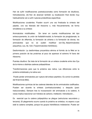 Han de sufrir modificaciones postraduccionales como formación de disulfuros, 
hidroxilaciones, etc Han de alcanzar también su localización final donde muy 
habitualmente van a sufrir rupturas proteolíticas específicas 
Modificaciones covalentes: Pueden ocurrir una vez finalizada la síntesis del 
péptido, una vez liberado del ribosoma o, más frecuentemente, de forma 
simultánea a su síntesis 
Aminoácidos modificables: Sin tener en cuenta modificaciones del tipo 
entrecruzamiento, la unión de fosfatidil-inositol, la formación de piroglutamato, la 
formación de diftamida, la formación de al-lisina o la formación de dionas, los 
aminoácidos que no se suelen modificar son Gly, Ala(aminoácidos 
pequeños), Leu, Ile, Val o Trp(aminoácidos hidrófobos). 
Desformilación: La desformilasa procariótica elimina el formilo de la fMet en la 
primera posición de las proteínas al poco de aparecer el extremo N fuera del 
ribosoma. 
Puentes disulfuro: Se trata de la formación de un enlace covalente entre dos Cys 
de la misma o distintas cadenas polipeptídicas 
Transformaciones para que la proteína sea nativa. Las diferencias entre la 
proteína sintetizada y la nativa son: 
Puede perder aminoácidos por ruptura del enlace peptídico. Es común la pérdida 
del N-terminal (Met). 
Modificaciones químicas de las cadenas laterales de los aminoácidos codificados. 
Pueden ser durante la síntesis (contraduccionales) o después (post-traduccionales). 
Siempre tras la incorporación del aminoácido a la cadena. A 
veces implica reaccionar con hidratos de carbono, metilación, hidroxilación... 
Es esencial que la cadena polipeptídica se pliegue (estructuras secundaria y 
terciaria). El plegamiento ocurre cuando la proteína se sintetiza, no espera a que 
esté la cadena completa, porque los grupos hidrofóbicos molestarían. Puede ser 
36 
 
