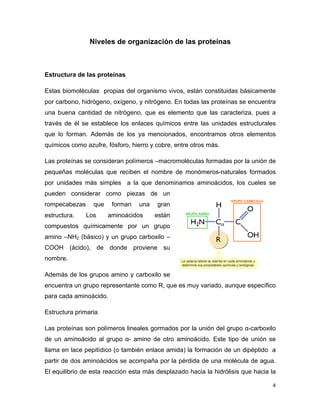 4 
Niveles de organización de las proteínas 
Estructura de las proteínas 
Estas biomolèculas propias del organismo vivos, están constituidas básicamente 
por carbono, hidrógeno, oxígeno, y nitrógeno. En todas las proteínas se encuentra 
una buena cantidad de nitrógeno, que es elemento que las caracteriza, pues a 
través de él se establece los enlaces químicos entre las unidades estructurales 
que lo forman. Además de los ya mencionados, encontramos otros elementos 
químicos como azufre, fósforo, hierro y cobre, entre otros más. 
Las proteínas se consideran polímeros –macromoléculas formadas por la unión de 
pequeñas moléculas que reciben el nombre de monómeros-naturales formados 
por unidades más simples a la que denominamos aminoácidos, los cueles se 
pueden considerar como piezas de un 
rompecabezas que forman una gran 
estructura. Los aminoácidos están 
compuestos químicamente por un grupo 
amino –NH2 (básico) y un grupo carboxilo – 
COOH (ácido), de donde proviene su 
nombre. 
Además de los grupos amino y carboxilo se 
encuentra un grupo representante como R, que es muy variado, aunque específico 
para cada aminoácido. 
Estructura primaria 
Las proteínas son polímeros lineales gormados por la unión del grupo α-carboxilo 
de un aminoácido al grupo α- amino de otro aminoácido. Este tipo de unión se 
llama en lace pepitìdico (o también enlace amida) la formación de un dipéptido a 
partir de dos aminoácidos se acompaña por la pérdida de una molécula de agua. 
El equilibrio de esta reacción esta más desplazado hacia la hidrólisis que hacia la 
 
