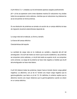 A pH inferior 2 o + unidades a pI el aminoácido aparece cargado positivamente 
pH = pI los aa aparecen como iones dipolares neutros En soluciones muy ácidas 
todos los aa aparecen como cationes, mientras que en soluciones muy básicas los 
aa se encuentran en forma aniónica. 
Si una disolución de proteínas se somete a la acción de un campo eléctrico la tasa 
de migración durante la electroforesis depende de: 
45 
La carga neta de la molécula, su forma y tamaño 
La fuerza del campo eléctrico 
Características del soporte 
La cantidad de carga neta en la molécula es variable y depende del pH del 
amortiguador. Si el pH del medio es menor que el punto isoeléctrico, las proteínas 
se comportan como cationes y, si el pH del medio es superior al ph, se comportan 
como aniones. La carga de la proteína se hace más negativa a medida que el pH 
del amortiguador se hace más básico. 
A pH 8,6 (básico) todas las proteínas migran hacia el ánodo (tienen carga global 
negativa). La albúmina, con pI de 4,7 tendrá una mayor carga negativa que la 
gamma-globulina, que tiene un pI de 7,2. En definitiva, lo anterior explica que la 
albúmina recorra una mayor distancia que la gamma-globulina cuando se sitúen 
en un campo eléctrico. 
 