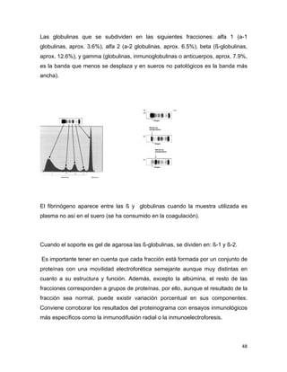 Las globulinas que se subdividen en las siguientes fracciones: alfa 1 (a-1 
globulinas, aprox. 3.6%), alfa 2 (a-2 globulinas, aprox. 6.5%), beta (ß-globulinas, 
aprox. 12.6%), y gamma (globulinas, inmunoglobulinas o anticuerpos, aprox. 7.9%, 
es la banda que menos se desplaza y en sueros no patológicos es la banda más 
ancha). 
El fibrinógeno aparece entre las ß y globulinas cuando la muestra utilizada es 
plasma no así en el suero (se ha consumido en la coagulación). 
Cuando el soporte es gel de agarosa las ß-globulinas, se dividen en: ß-1 y ß-2. 
Es importante tener en cuenta que cada fracción está formada por un conjunto de 
proteínas con una movilidad electroforética semejante aunque muy distintas en 
cuanto a su estructura y función. Además, excepto la albúmina, el resto de las 
fracciones corresponden a grupos de proteínas, por ello, aunque el resultado de la 
fracción sea normal, puede existir variación porcentual en sus componentes. 
Conviene corroborar los resultados del proteinograma con ensayos inmunológicos 
más específicos como la inmunodifusión radial o la inmunoelectroforesis. 
48 
 