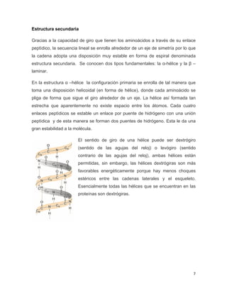 Estructura secundaria 
Gracias a la capacidad de giro que tienen los aminoácidos a través de su enlace 
peptìdico, la secuencia lineal se enrolla alrededor de un eje de simetría por lo que 
la cadena adopta una disposición muy estable en forma de espiral denominada 
estructura secundaria. Se conocen dos tipos fundamentales: la α-hélice y la β – 
laminar. 
En la estructura α –hélice la configuración primaria se enrolla de tal manera que 
toma una disposición helicoidal (en forma de hélice), donde cada aminoácido se 
pliga de forma que sigue el giro alrededor de un eje. La hélice así formada tan 
estrecha que aparentemente no existe espacio entre los átomos. Cada cuatro 
enlaces peptìdicos se estable un enlace por puente de hidrógeno con una unión 
peptìdica y de esta manera se forman dos puentes de hidrógeno. Esta le da una 
gran estabilidad a la molécula. 
El sentido de giro de una hélice puede ser dextrógiro 
(sentido de las agujas del reloj) o levógiro (sentido 
contrario de las agujas del reloj), ambas hélices están 
permitidas, sin embargo, las hélices dextrógiras son más 
favorables energéticamente porque hay menos choques 
estéricos entre las cadenas laterales y el esqueleto. 
Esencialmente todas las hélices que se encuentran en las 
proteínas son dextrógiras. 
7 
 