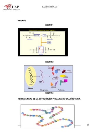 Monografia proteinas