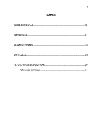 2



                                                     SUMÁRIO




ÍNDICE DE FIGURAS...............................................................................................03




INTRODUÇÃO...........................................................................................................04




DESENVOLVIMENTO................................................................................................05




CONCLUSÃO.............................................................................................................28




REFERÊNCIAS BIBLIOGRÁFICAS...........................................................................29

         Referências Eletrônicas...................................................................................31
 