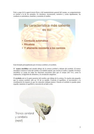 Está a cargo de la supervivencia física y del mantenimiento general del cuerpo, su comportamiento
es similar a la de los animales. Es mecánico, inconsciente, instintivo y actúa rápidamente. Su
conducta es automática, ritualista y resistente al cambio.




               Su característica más saliente
                           es su:


             • Conducta automática
             • Ritualista
             • Y altamente resistente a los cambios




Está formado principalmente por el tronco cerebral y el cerebelo.

El tronco encefálico está situado debajo de la corteza cerebral y delante del cerebelo. El tronco
encefálico conecta el resto del cerebro a la médula espinal, que recorre el cuello y espalda. El tronco
encefálico se ocupa de todas las funciones necesarias para que el cuerpo esté vivo, como la
respiración, la digestión de alimentos y la circulación sanguínea.

El cerebelo está en la parte posterior del cerebro, por debajo de la corteza. Es mucho más pequeño
que la corteza cerebral, sólo un 1/8 de su tamaño. Controla el equilibrio, el movimiento y la
coordinación (la manera en que los músculos trabajan juntos). Gracias al cerebelo te puedes parar
erguido, mantener el equilibrio y moverte de un lado a otro.




                                                                                                     3
 