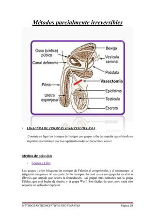 Monografia terminado