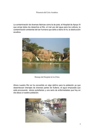 Presencia del Lirio Acuático
La contaminación de diversas fabricas como la de pota, el Hospital de Apoyo III
que arroja todos los desechos al Rio, el mal uso del agua para los cultivos, la
contaminación ambiental del ser humana que daña a diario el rio, la destrucción
acuática.
Drenaje del Hospital al rio Chira
Ahora nuestro Rio se ha convertido en algo dañino para la población ya que
desembocan drenajes de diversas partes de Sullana, el agua empozada que
está provocando olores putrefactos y una serio de enfermedades que hoy en
día ataca a nuestra población.
7
 