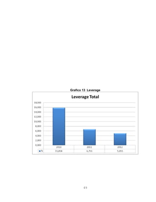 Grafico 13 Leverage
49
 