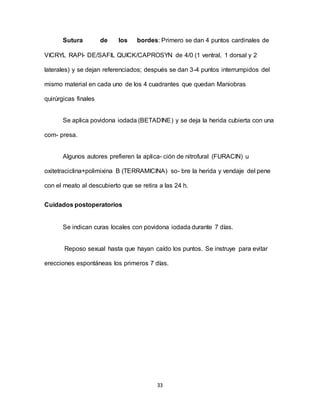 33
Sutura de los bordes: Primero se dan 4 puntos cardinales de
VICRYL RAPI- DE/SAFIL QUICK/CAPROSYN de 4/0 (1 ventral, 1 dorsal y 2
laterales) y se dejan referenciados; después se dan 3-4 puntos interrumpidos del
mismo material en cada uno de los 4 cuadrantes que quedan Maniobras
quirúrgicas finales
Se aplica povidona iodada (BETADINE) y se deja la herida cubierta con una
com- presa.
Algunos autores prefieren la aplica- ción de nitrofural (FURACIN) u
oxitetraciclina+polimixina B (TERRAMICINA) so- bre la herida y vendaje del pene
con el meato al descubierto que se retira a las 24 h.
Cuidados postoperatorios
Se indican curas locales con povidona iodada durante 7 días.
Reposo sexual hasta que hayan caído los puntos. Se instruye para evitar
erecciones espontáneas los primeros 7 días.
 