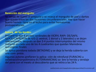 Resección del manguito:
Se retrae de nuevo el prepucio y se reseca el manguito de piel y dartos
que queda entre las dos incisiones circunferenciales. Hay que hacer
buena hemos- tasia en el lecho para evitar hematomas
postoperatorios.
Sutura de los bordes:
Primero se dan 4 puntos cardinales de VICRYL RAPI- DE/SAFIL
QUICK/CAPROSYN de 4/0 (1 ventral, 1 dorsal y 2 laterales) y se dejan
referenciados; después se dan 3-4 puntos interrumpidos del mismo
material en cada uno de los 4 cuadrantes que quedan Maniobras
quirúrgicas finales
Se aplica povidona iodada (BETADINE) y se deja la herida cubierta con
una com- presa.
Algunos autores prefieren la aplica- ción de nitrofural (FURACIN) u
oxitetraciclina+polimixina B (TERRAMICINA) so- bre la herida y vendaje
del pene con el meato al descubierto que se retira a las 24 h.
seattleclouds.com/myapplications/jpburgues/atlas/Circuncision.pdf
 