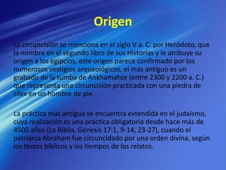 Origen
La circuncisión se menciona en el siglo V a. C. por Heródoto, que
la nombra en el segundo libro de sus Historias y le atribuye su
origen a los egipcios, este origen parece confirmado por los
numerosos vestigios arqueológicos, el más antiguo es un
grabado de la tumba de Ankhamahor (entre 2300 y 2200 a. C.)
que representa una circuncisión practicada con una piedra de
sílex en un hombre de pie.
La práctica más antigua se encuentra extendida en el judaísmo,
cuya realización es una práctica obligatoria desde hace más de
4500 años (La Biblia, Génesis 17:1, 9-14, 23-27), cuando el
patriarca Abraham fue circuncidado por una orden divina, según
los textos bíblicos y los tiempos de los relatos.
 