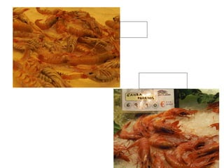 Escamarlà 49€ Gamba vermella 69,90€ Marisc 