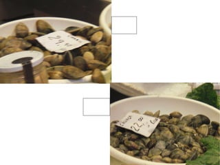 Carbil 29,90€ Gallega 22€ 