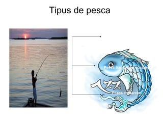 Tipus de pesca Pesca de subsistència Pesca tradicional costanera Pesca comercial 