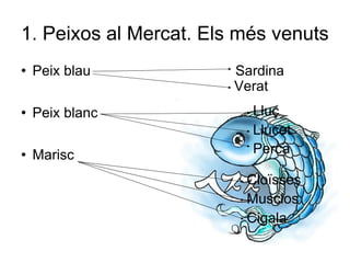 1. Peixos al Mercat. Els més venuts Peix blau  Sardina Peix blanc Marisc  Verat Lluç Llucet Perca Cloïsses Musclos Cigala 