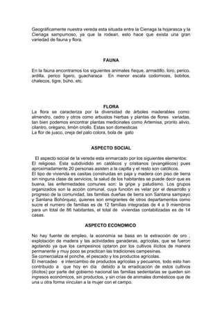 Geográficamente nuestra vereda esta situada entre la Cienaga la hojarasca y la
Cienaga sampumoso, ya que la rodean, esto hace que exista una gran
variedad de fauna y flora.



                                    FAUNA

En la fauna encontramos los siguientes animales ñeque, armadillo, loro, perico,
ardilla, perico ligero, guacharaca En menor escala codornices, bobitos,
chalecos, tigre, búho. etc.




                                      FLORA
La flora se caracteriza por la diversidad de árboles maderables como:
almendro, cedro y otros como arbustos hierbas y plantas de flores variadas,
tan bien podemos encontrar plantas medicinales como Artemisa, pronto alivio,
cilantro, orégano, limón criollo. Estas son domesticas
La flor de juaco, oreja del palo colora, bola de gato


                              ASPECTO SOCIAL

  El aspecto social de la vereda esta enmarcado por los siguientes elementos:
El religioso. Esta subdividido en católicos y cristianos (evangélicos) pues
aproximadamente 20 personas asisten a la capilla y el resto son católicos.
El tipo de vivienda es casitas construidas en paja y madera con piso de tierra
sin ninguna clase de servicios, la salud de los habitantes se puede decir que es
buena, las enfermedades comunes son: la gripe y paludismo. Los grupos
organizados son la acción comunal, cuya función es velar por el desarrollo y
progreso de la comunidad, las familias dueñas de tierra son Santana sampayo
y Santana Bohórquez, quienes son emigrantes de otros departamentos como
sucre el numero de familias es de 12 familias integradas de 4 a 9 miembros
para un total de 86 habitantes, el total de viviendas contabilizadas es de 14
casas.

                           ASPECTO ECONOMICO

No hay fuente de empleo, la economía se basa en la extracción de oro ,
explotación de madera y las actividades ganaderas, agrícolas, que se fueron
agotando ya que los campesinos optaron por los cultivos ilícitos de manera
permanente y muy poco se practican las tradiciones campesinas.
Se comercializa el ponche, el pescado y los productos agrícolas.
El mercadeo e intercambio de productos agrícolas y pecuarios, todo esto han
contribuido a que hoy en día debido a la erradicación de estos cultivos
(ilícitos) por parte del gobierno nacional las familias sedentarias se queden sin
ingresos económicos, sin productos, y sin crías de animales domésticos que de
una u otra forma vinculan a la mujer con el campo.
 