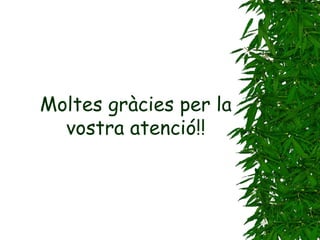 Moltes gràcies per la vostra atenció!! 