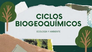 ECOLOGÍA Y AMBIENTE
CICLOS
BIOGEOQUÍMICOS
 