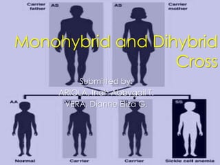Monohybrid and Dihybrid
                  Cross
         Submitted by:
     ARIOLA, Inah Abbygail T.
      VERA, Dianne Eliza G.
 